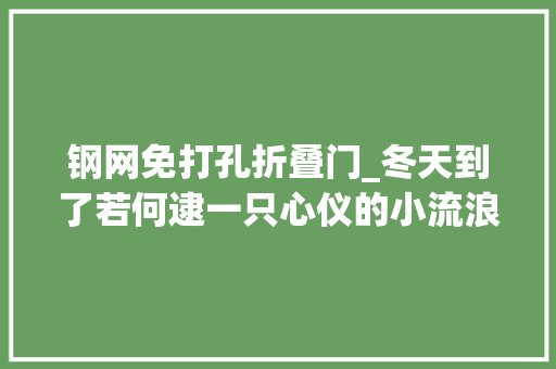 钢网免打孔折叠门_冬天到了若何逮一只心仪的小流浪回家暖脚