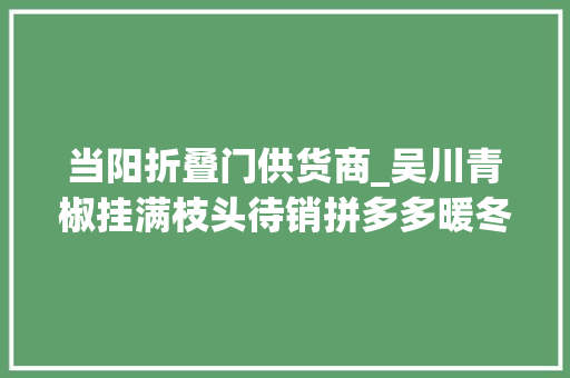 当阳折叠门供货商_吴川青椒挂满枝头待销拼多多暖冬行动以市场价扫货