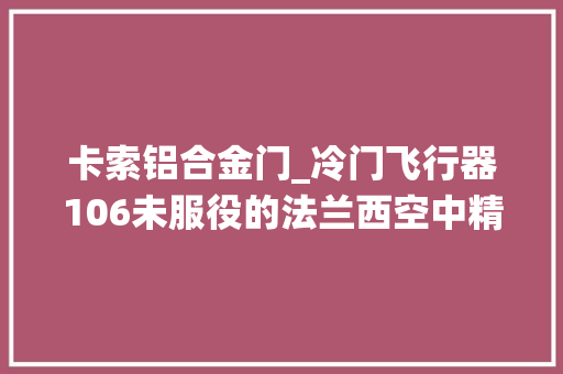 卡索铝合金门_冷门飞行器106未服役的法兰西空中精锐SE116/117