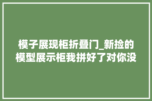 模子展现柜折叠门_新捡的模型展示柜我拼好了对你没看错