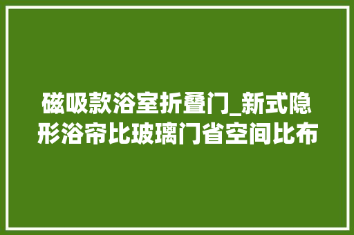 磁吸款浴室折叠门_新式隐形浴帘比玻璃门省空间比布帘实用上档次太机警了
