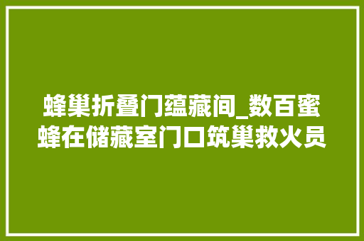 蜂巢折叠门蕴藏间_数百蜜蜂在储藏室门口筑巢救火员参预清除蜂患