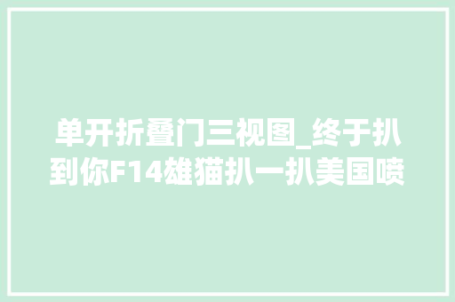 单开折叠门三视图_终于扒到你F14雄猫扒一扒美国喷气式战斗机家族谱