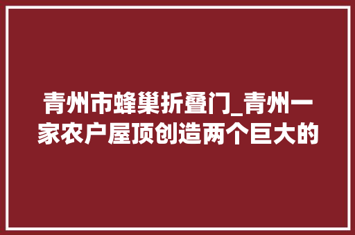 青州市蜂巢折叠门_青州一家农户屋顶创造两个巨大的蜂巢