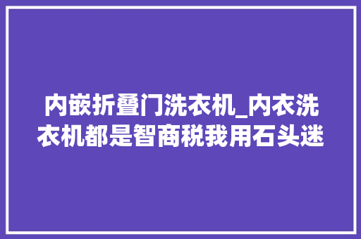 内嵌折叠门洗衣机_内衣洗衣机都是智商税我用石头迷你洗烘一体机M1Pure体验告诉你