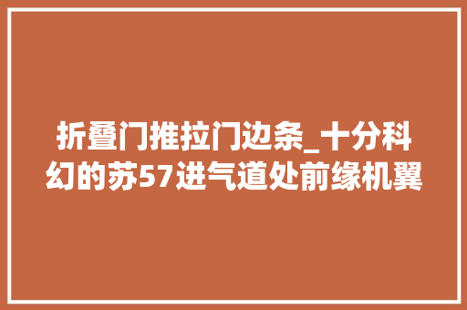 折叠门推拉门边条_十分科幻的苏57进气道处前缘机翼可动边条它究竟有何好处