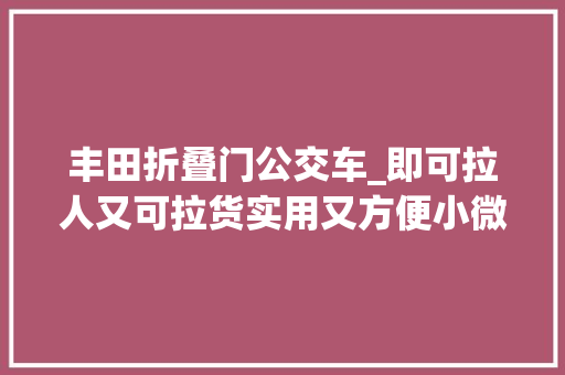 丰田折叠门公交车_即可拉人又可拉货实用又方便小微车1997年款丰田Raum
