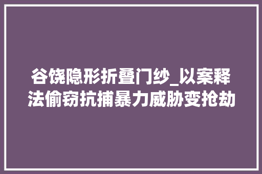谷饶隐形折叠门纱_以案释法偷窃抗捕暴力威胁变抢劫收购他人盗抢赃物同获刑