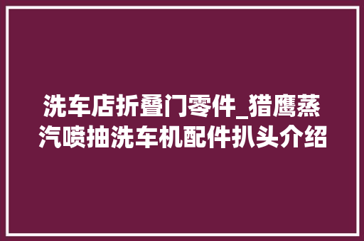 洗车店折叠门零件_猎鹰蒸汽喷抽洗车机配件扒头介绍