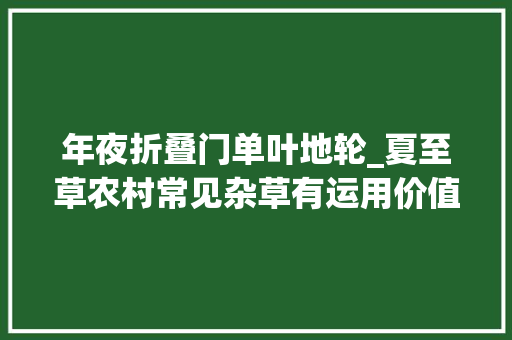 年夜折叠门单叶地轮_夏至草农村常见杂草有运用价值