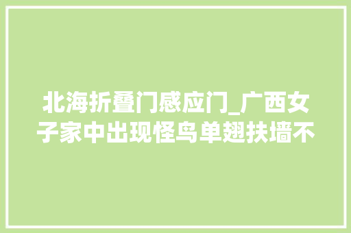 北海折叠门感应门_广西女子家中出现怪鸟单翅扶墙不肯走原来又是牢底坐穿兽