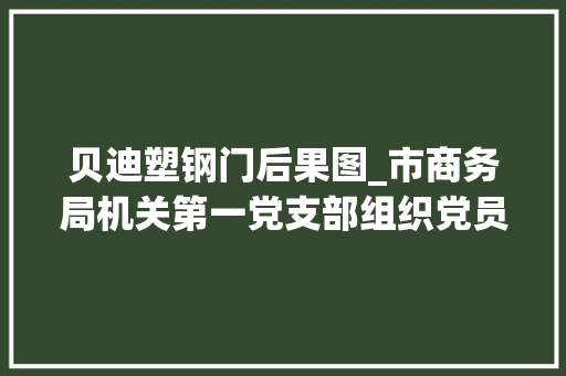 贝迪塑钢门后果图_市商务局机关第一党支部组织党员深入县区考察进修