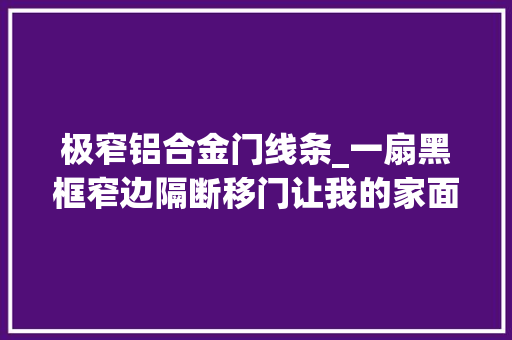 极窄铝合金门线条_一扇黑框窄边隔断移门让我的家面貌一新
