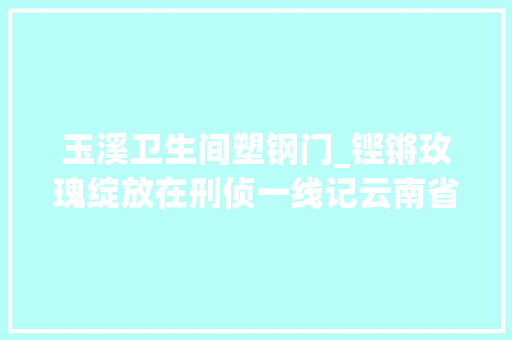 玉溪卫生间塑钢门_铿锵玫瑰绽放在刑侦一线记云南省玉溪市新平县公安局刑侦大年夜队教导员饶惠莹