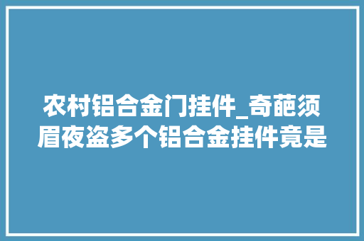 农村铝合金门挂件_奇葩须眉夜盗多个铝合金挂件竟是为了铸一口锅