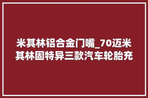 米其林铝合金门嘴_70迈米其林固特异三款汽车轮胎充气泵比拟