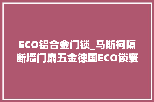 ECO铝合金门锁_马斯柯隔断墙门扇五金德国ECO锁寰宇铰链