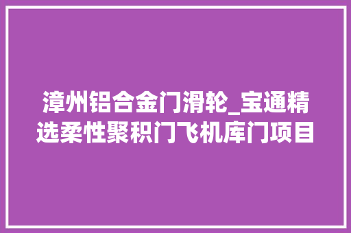 漳州铝合金门滑轮_宝通精选柔性聚积门飞机库门项目案例赏析
