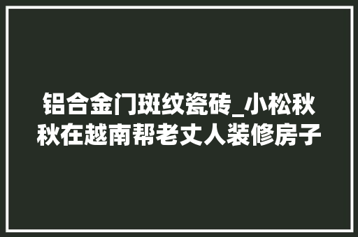 铝合金门斑纹瓷砖_小松秋秋在越南帮老丈人装修房子选择铝合金玻璃门更换踢脚线瓷砖