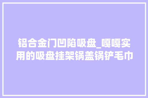 铝合金门凹陷吸盘_嘎嘎实用的吸盘挂架锅盖锅铲毛巾拖鞋浴室厨房都能用