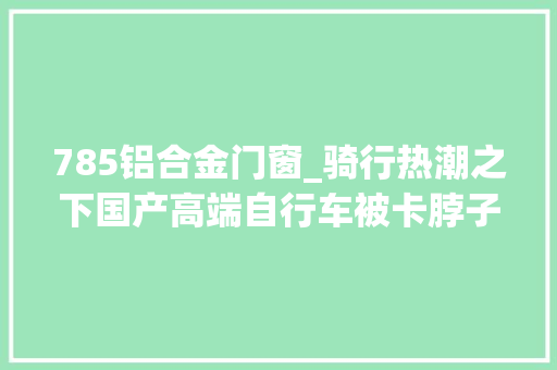 785铝合金门窗_骑行热潮之下国产高端自行车被卡脖子