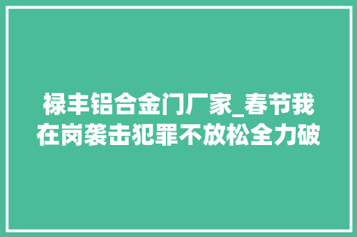 禄丰铝合金门厂家_春节我在岗袭击犯罪不放松全力破案护平易近生