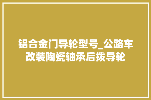 铝合金门导轮型号_公路车改装陶瓷轴承后拨导轮