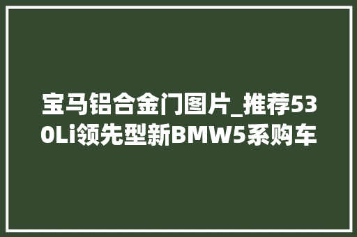 宝马铝合金门图片_推荐530Li领先型新BMW5系购车手册