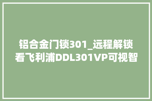 铝合金门锁301_远程解锁看飞利浦DDL301VP可视智能锁若何让你智感生活