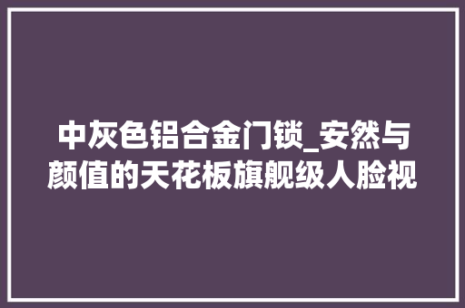 中灰色铝合金门锁_安然与颜值的天花板旗舰级人脸视频锁萤石DL31FVS开箱简评