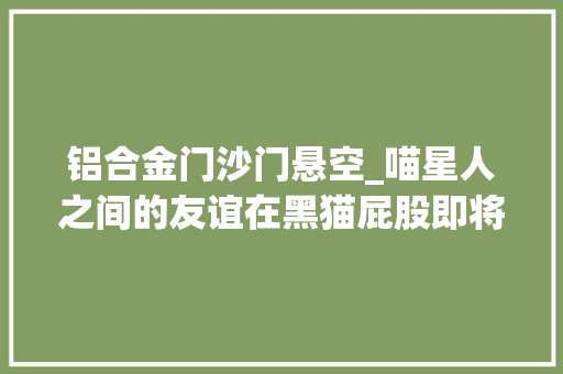 铝合金门沙门悬空_喵星人之间的友谊在黑猫屁股即将摔裂的时刻一双猫爪托住了它