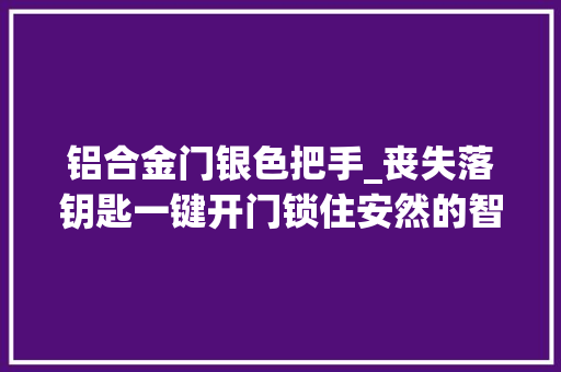 铝合金门银色把手_丧失落钥匙一键开门锁住安然的智能管家云柚智能锁S1PRO