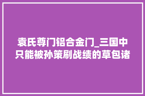 袁氏尊门铝合金门_三国中只能被孙策刷战绩的草包诸侯三国演义弱化的宗亲刺史刘繇