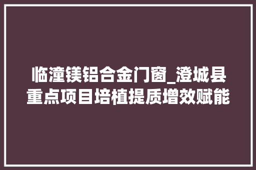 临潼镁铝合金门窗_澄城县重点项目培植提质增效赋能经济高质量成长