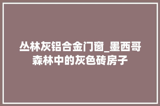 丛林灰铝合金门窗_墨西哥森林中的灰色砖房子