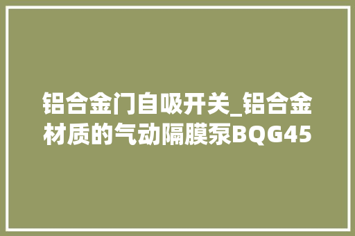 铝合金门自吸开关_铝合金材质的气动隔膜泵BQG450/02