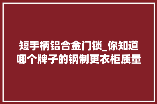 短手柄铝合金门锁_你知道哪个牌子的钢制更衣柜质量比较好
