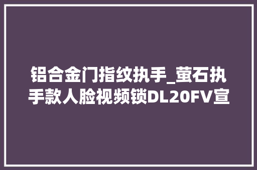 铝合金门指纹执手_萤石执手款人脸视频锁DL20FV宣告首发价1499元