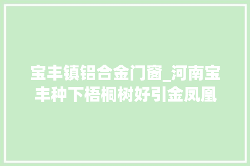 宝丰镇铝合金门窗_河南宝丰种下梧桐树好引金凤凰