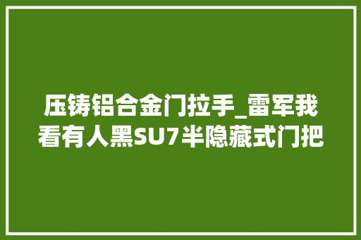压铸铝合金门拉手_雷军我看有人黑SU7半隐藏式门把手特此说明一下