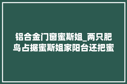 铝合金门窗蜜斯姐_两只肥鸟占据蜜斯姐家阳台还把蜜斯姐当成保姆使唤离谱