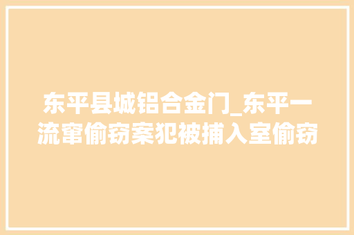东平县城铝合金门_东平一流窜偷窃案犯被捕入室偷窃10余起涉案5万余元