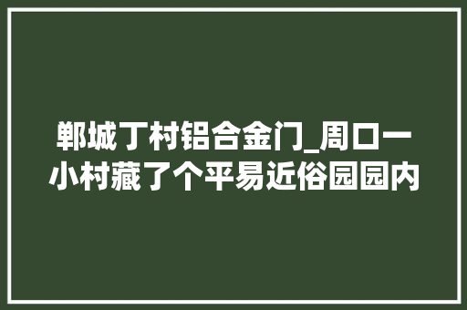 郸城丁村铝合金门_周口一小村藏了个平易近俗园园内这些物件曾被载入吉尼斯世界记录