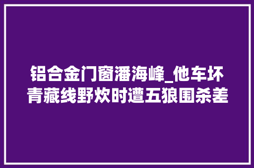 铝合金门窗潘海峰_他车坏青藏线野炊时遭五狼围杀差点命丧可可西里传闻 折叠门