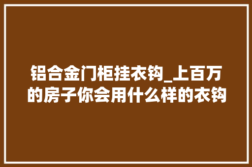 铝合金门柜挂衣钩_上百万的房子你会用什么样的衣钩