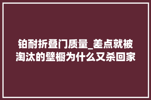 铂耐折叠门质量_差点就被淘汰的壁橱为什么又杀回家居界