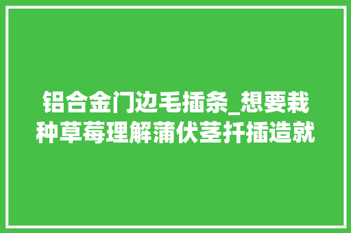 铝合金门边毛插条_想要栽种草莓理解蒲伏茎扦插造就技能吧