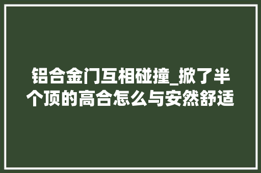 铝合金门互相碰撞_掀了半个顶的高合怎么与安然舒适做平衡
