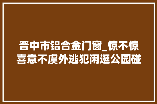 晋中市铝合金门窗_惊不惊喜意不虞外逃犯闲逛公园碰上巡逻平易近警…