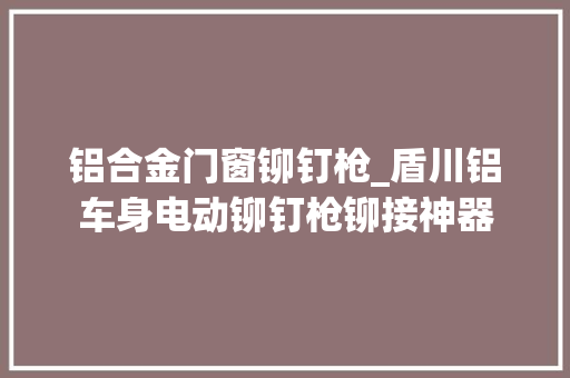 铝合金门窗铆钉枪_盾川铝车身电动铆钉枪铆接神器 实木门
